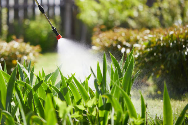 24/7 Emergency Wasp Removal experts in Salineville, OH